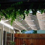 Shade Tree System